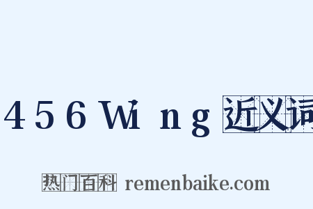 456Wing近义词是什么意思的图片